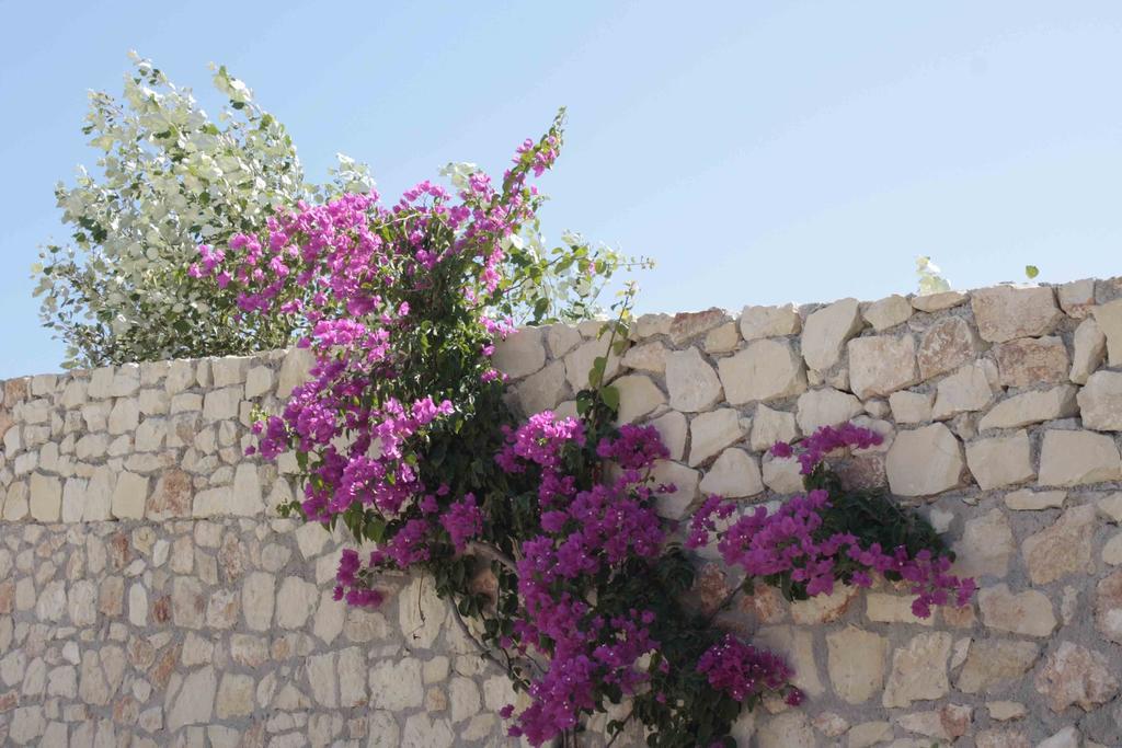 فيلا Crete View ماراثي الغرفة الصورة